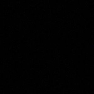 Meet your Posher, Chavis